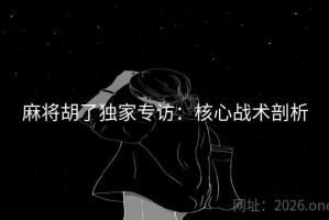 麻将胡了独家专访：核心战术剖析