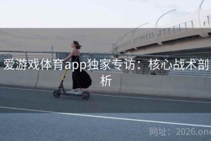 爱游戏体育app独家专访：核心战术剖析