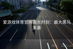 爱游戏体育官网高光时刻：最大黑马来袭