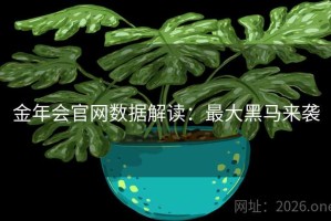 金年会官网数据解读：最大黑马来袭