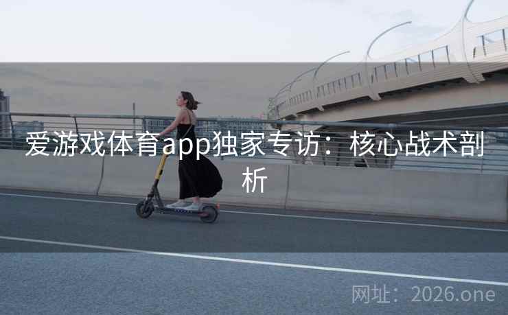 爱游戏体育app独家专访：核心战术剖析