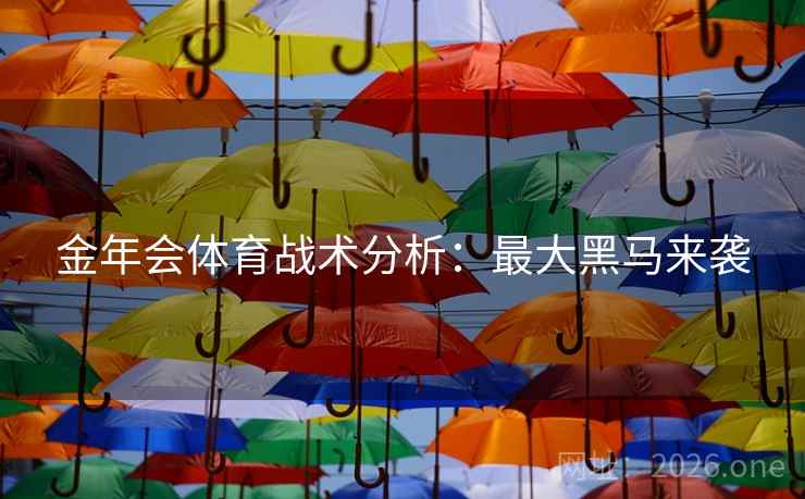 金年会体育战术分析:最大黑马来袭 金年会体育战术分析:最大黑马来袭