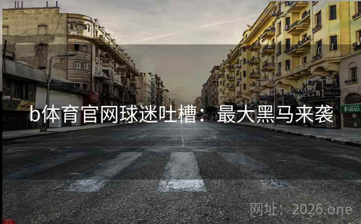 b体育官网球迷吐槽：最大黑马来袭